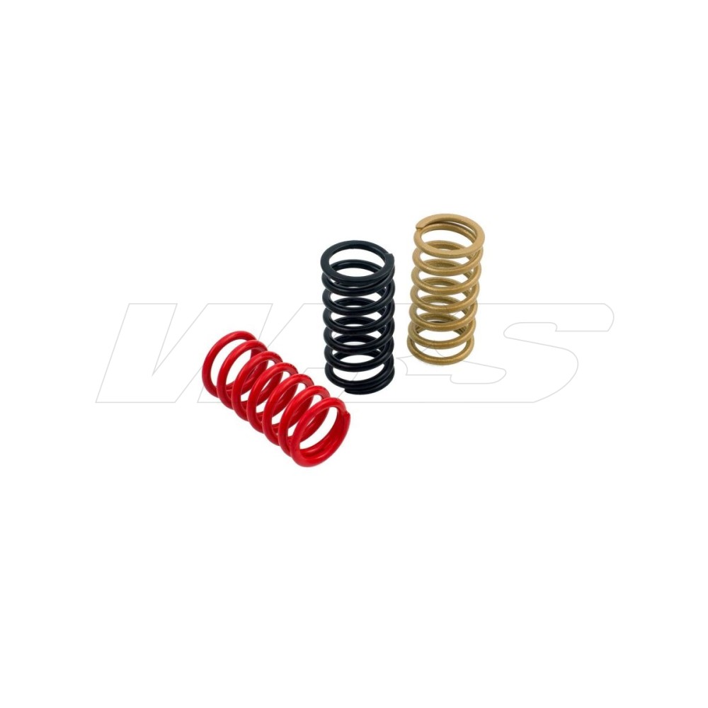MUELLES DE EMBRAGUE H40 CNC RACING DUCATI 1198 2009-11 MUELLES DE EMBRAGUE H40 CNC RACING DUCATI 1198 2009-11
