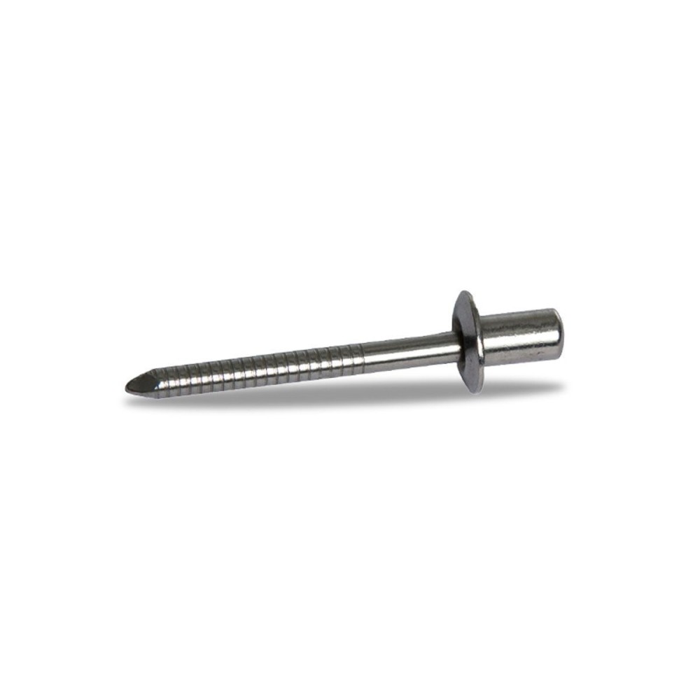 RIVETTO INOX DE REPUESTO DE REPUESTO DIÁMETRO DE MIVV 4.7 MM DE LONGITUD 12 MM DE PLATA