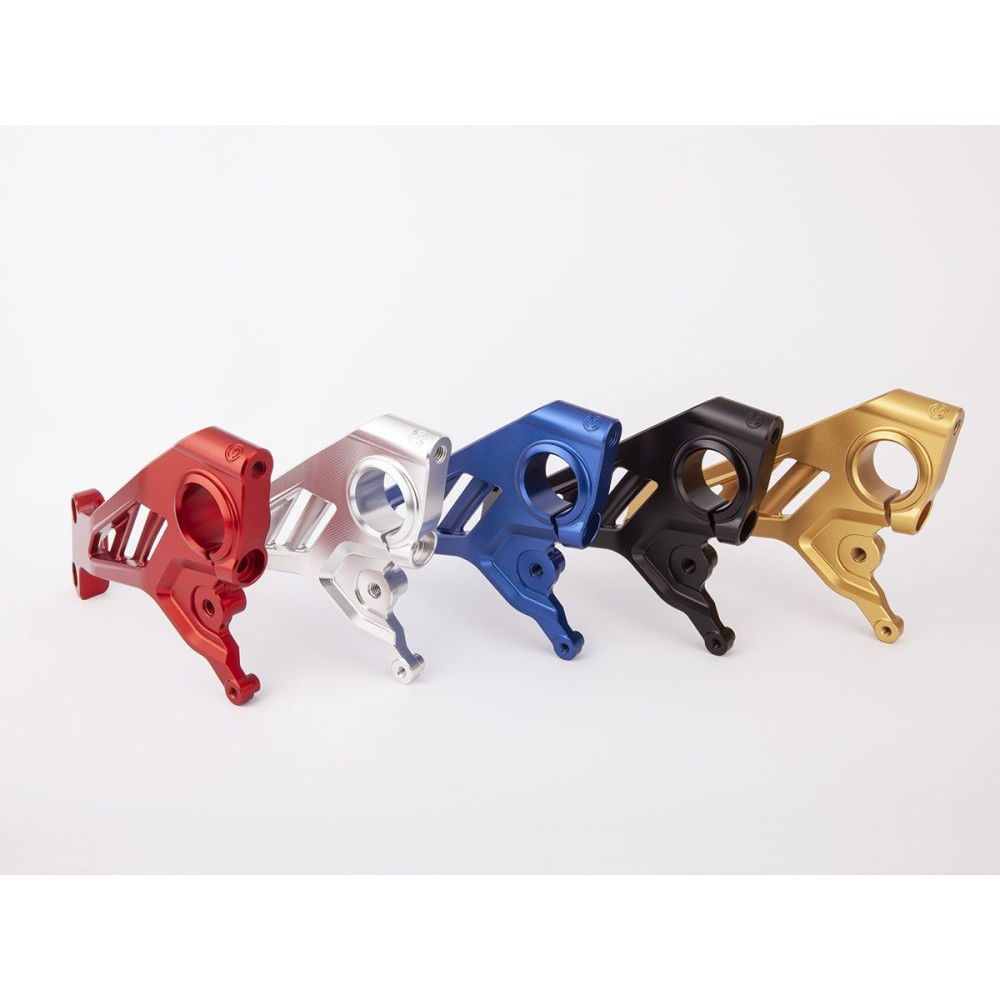 KIT PLACAS LATERALES MOTOCORSE DUCATI PANIGALE V4 2018-2021