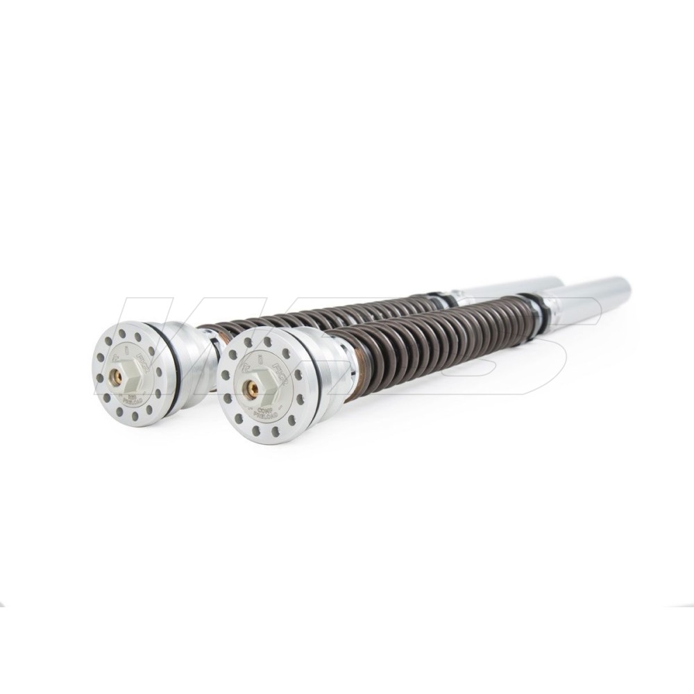 KIT DE CARTUCHOS DE HORQUILLA OHLINS TTX 25MM DUCATI PANIGALE V2 BAYLISS 2022-2023 (FL956)