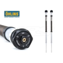 CARTUCHO HORQUILLA OHLINS NIX 30 STREET TRIUMPH THRUXTON RS 2020-2021