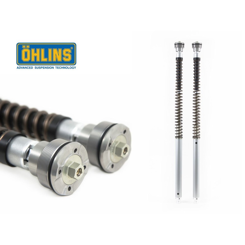 CARTUCHO HORQUILLA OHLINS NIX30 KAWASAKI NINJA ZX-6 R 2009-2018 CARTUCHO HORQUILLA OHLINS NIX30 KAWASAKI NINJA ZX-6 R 2009-2018