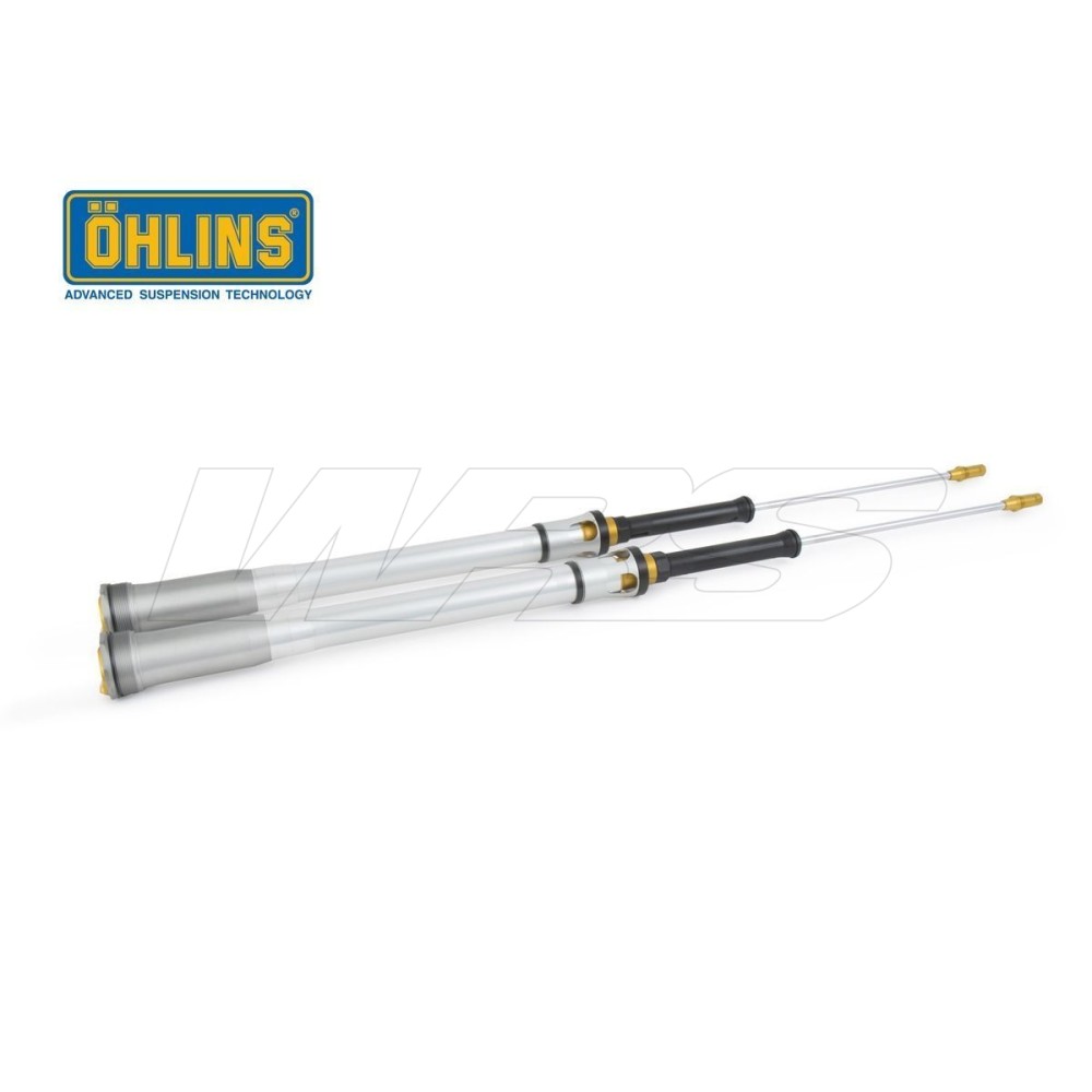 CARTUCHO HORQUILLA OHLINS TTX 22 BETA RR 350/430/480 4T RACING 2018-2019