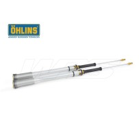 KIT CARTUCHO OHLINS TTX 22MM GAS GAS ENDURO TODOS LOS MODELOS (FORCELLA SACHS)