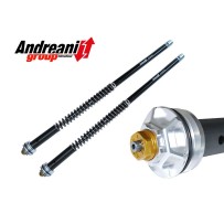 KIT DE CARTUCHOS DE HORQUILLA ANDREANI EVOLUTION DUCATI PANIGALE V4 2025