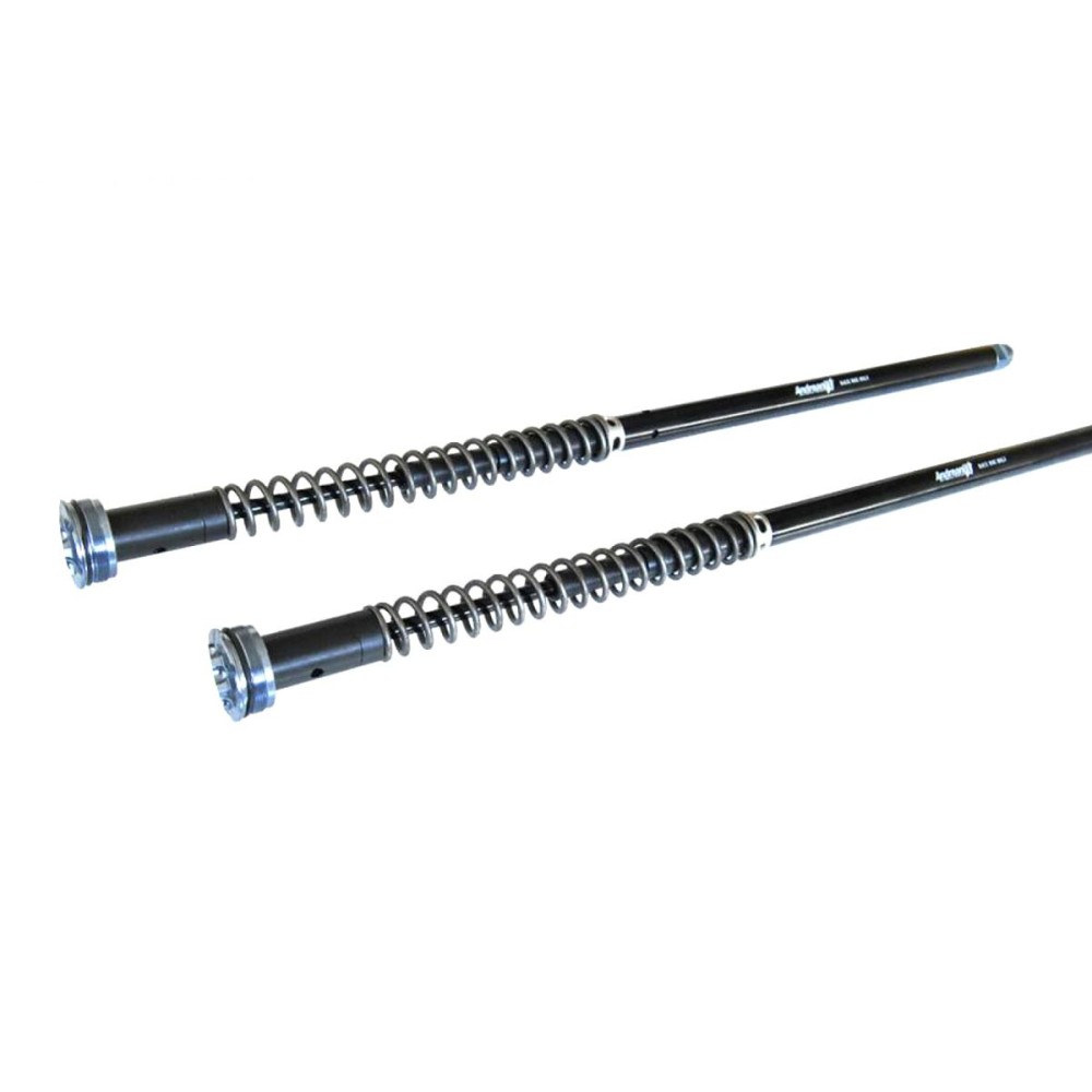 KIT CARTUCHOS DE HORQUILLA ANDREANI HARLEY FLH / FLT TOURING 2024 (SHOWA 49) AJUSTABLE