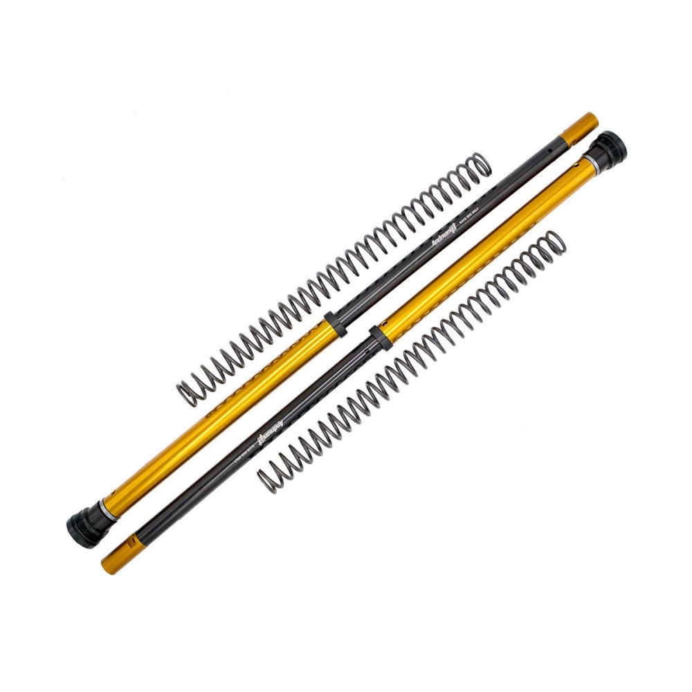 KIT DE CARTUCHOS DE HORQUILLA ANDREANI RALLY RACE KTM 790 ADVENTURE 2023-2024