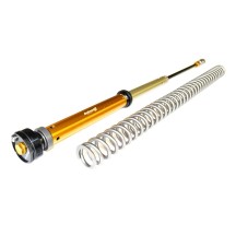 KIT DE CARTUCHOS DE HORQUILLA DE AIRE ANDREANI HUSQVARNA FS 450 2024 (FORCELLA WP AIR)