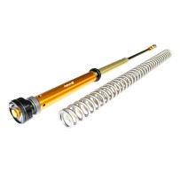 KIT DE CARTUCHOS DE HORQUILLA DE AIRE ANDREANI HUSQVARNA FS 450 2024 (FORCELLA WP AIR)