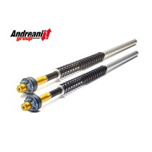KIT CARTUCHO HORQUILLA ANDREANI HARLEY DAVIDSON DYNA LOW RIDER S 2006-2017
