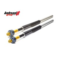 KIT CARTUCHO HORQUILLA ANDREANI HARLEY DAVIDSON V-ROD NIGHTROD