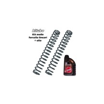 KIT MUELLES HORQUILLA BITUBO MX91 BMW F 800 GS ADVENTURE 2012-2017