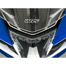 WRS STANDARD CUPINO COMICS ' BMW R 1250 RT 2021-2025