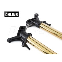 HORQUILLA R&T OHLINS NIX 43MM HONDA CRF 1000 L AFRICA TWIN ADV SPORTS 2018-2019