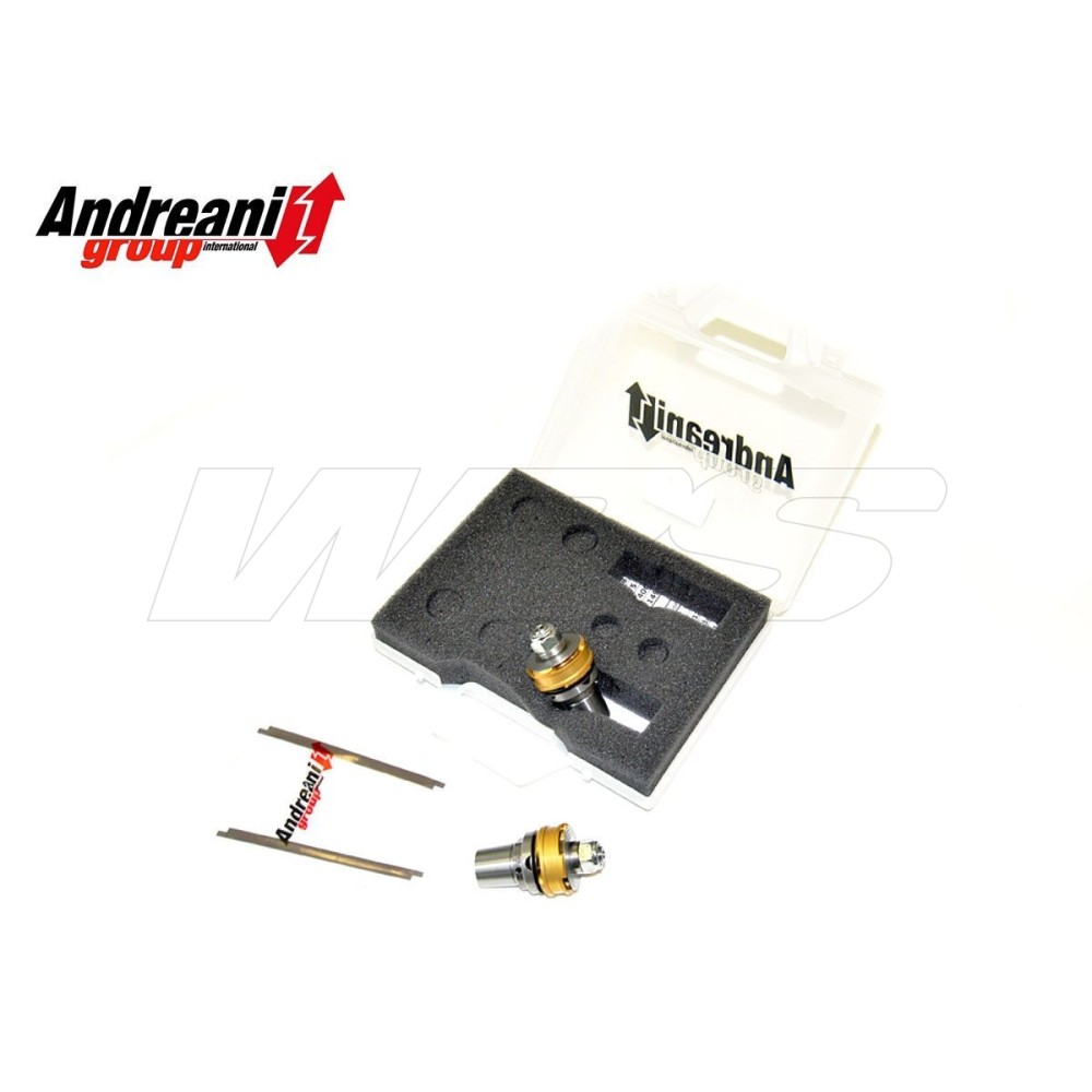 KIT PISTONES + SETA ANDREANI HUSQVARNA NUDA 900 R 2012