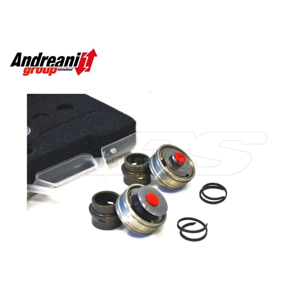 KIT PISTONES DE BOMBEO BPF HORQUILLA ANDREANI SHOWA DUCATI PANIGALE 899/959 2013-17