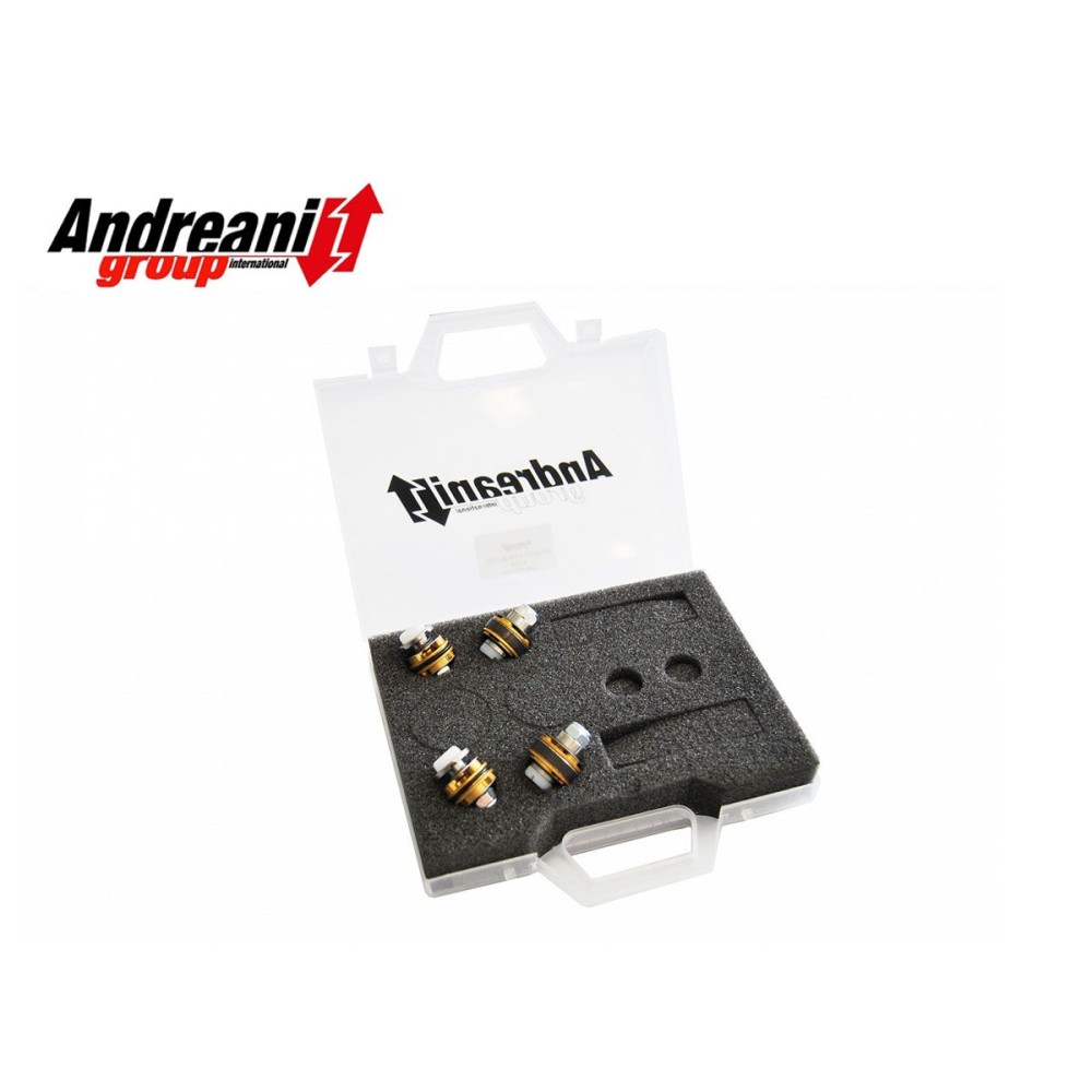 KIT PISTONES DE BOMBEO COMP+EST ANDREANI APRILIA RSV 4 2009-2010 (SHOWA)