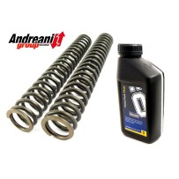 KIT MUELLE ACEITE HORQUILLA ANDREANI HONDA SH 300 2008-2018