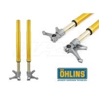 HORQUILLA UNIVERSAL OHLINS GOLD FGR253 790MM BAGGER/HOOLIGAN