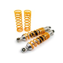 PAR DE AMORTIGUADORES OHLINS S36PL SUZUKI BURGMAN 650 2017-2020
