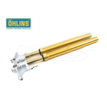 HORQUILLA R&T OHLINS NIX 43MM BMW S 1000 R 2014-2018 ORO